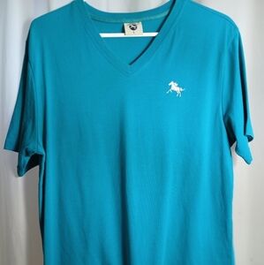 #449 Men's Dino Robert Turquoise V-Neck T-Shirt Size Large